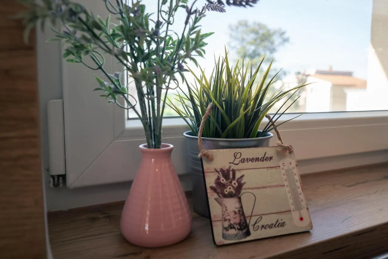 Apartment Shurida Pola